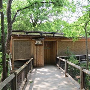 Koala Walkabout - Koala Exhibit Exterior