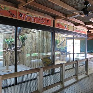 Koala Walkabout - Koala Exhibits