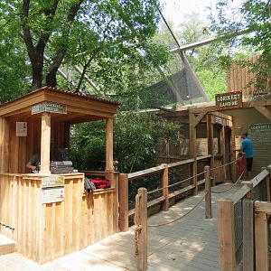 Koala Walkabout - Lorikeet Landing