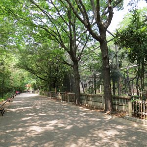 Primate Place - Walkway