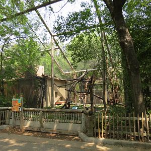 Primate Place - Black and White Colobus Monkey Exhibit