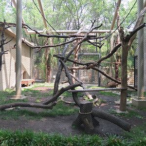 Primate Place - Black and White Colobus Monkey Exhibit