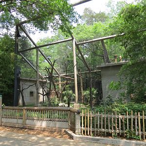 Primate Place - White-cheeked Gibbon Exhibit