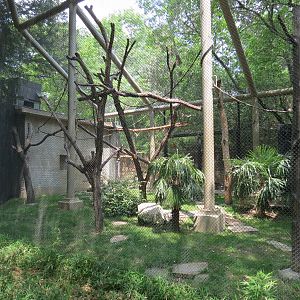 Primate Place - White-cheeked Gibbon Exhibit