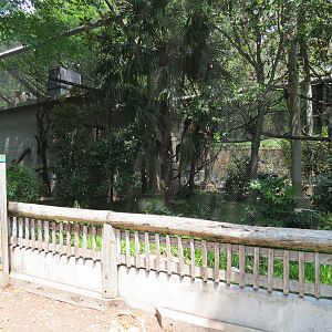 Primate Place - Bolivian Gray Titi Monkey and White-faced Saki Monkey Exhib