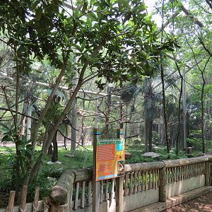 Primate Place - Central American Spider Monkey Exhibit