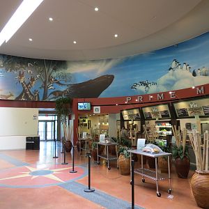 Zoofari Food Court
