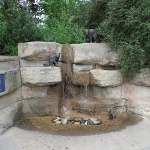 Childrens Zoo - Entrance