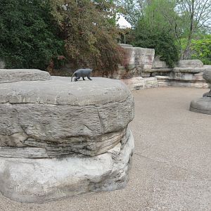 Childrens Zoo - Entrance