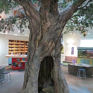 Childrens Zoo - Discovery House Interior