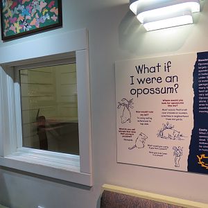Childrens Zoo - Discovery House Opossum Exhibit