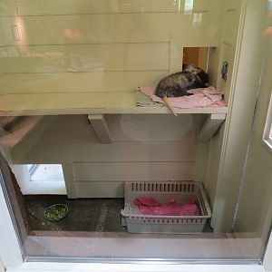 Childrens Zoo - Discovery House Opossum Exhibit