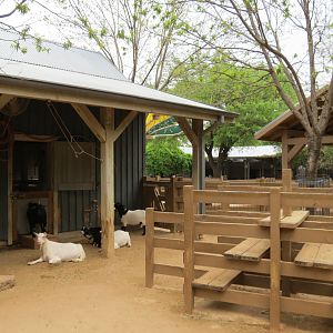 Childrens Zoo - Barnyard