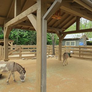 Childrens Zoo - Barnyard