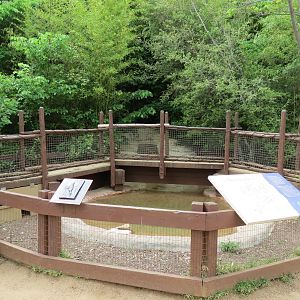 Childrens Zoo - Duck Pond