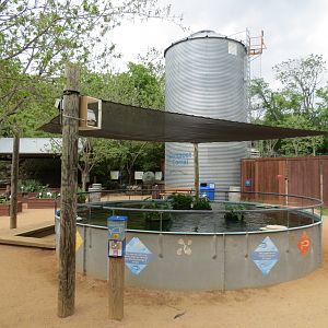 Childrens Zoo - Koi Pond