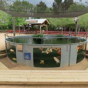 Childrens Zoo - Koi Pond