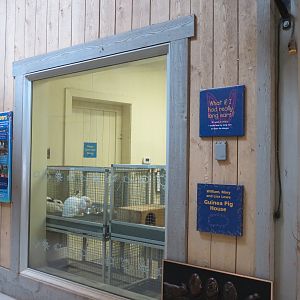 Childrens Zoo - Barn - Rabbit Exhibit