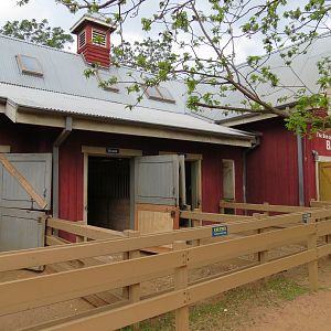 Childrens Zoo - Barn - Pony Yards