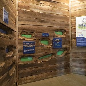 Childrens Zoo - Underzone - Naked Mole Rat Exhibit