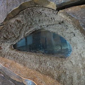 Childrens Zoo - Underzone - Scorpion Exhibit