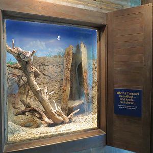 Childrens Zoo - Underzone - Ball Python Exhibit