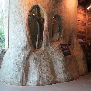 Childrens Zoo - Underzone - Jacksons Hornbill Exhibit