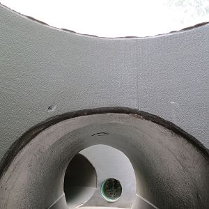 Childrens Zoo - Underzone - Dwarf Mongoose and Jacksons Hornbill Exhibit -