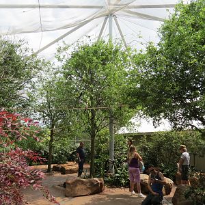 Childrens Zoo - Bird Landing - Interior