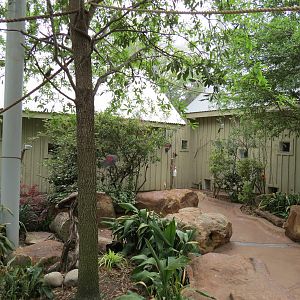 Childrens Zoo - Bird Landing - Interior