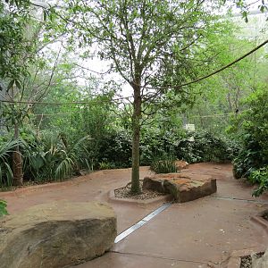 Childrens Zoo - Bird Landing - Interior