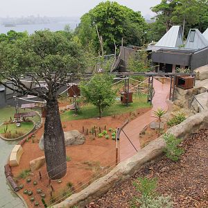 Main Exhibit - Lemur Forest Adventure Dec 2013