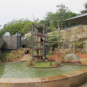 Main Exhibit - Lemur Forest Adventure Dec 2013