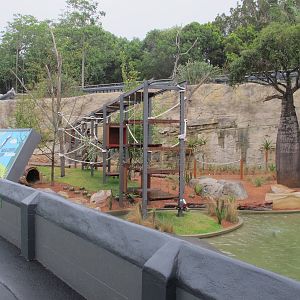 Main Exhibit - Lemur Forest Adventure Dec 2013