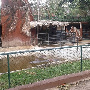 Hippo enclosure
