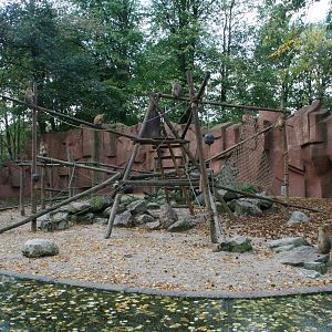 Barbary macaque exhibit