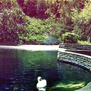 Pittsburgh zoo 1981/82