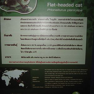 a sign without a species