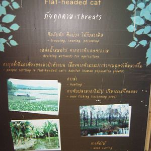 a sign without a species