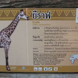 giraffe signage
