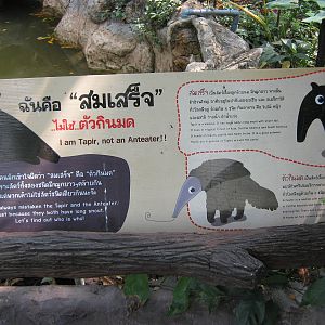 tapir sign