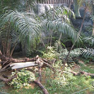 enclosure for caracals