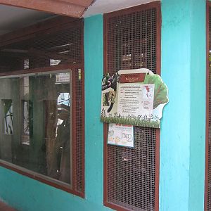 cage for bicoloured giant squirrel (Ratufa bicolor)