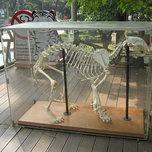 this is what happens when you keep animals in little glass boxes.....