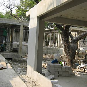 construction for the koala area