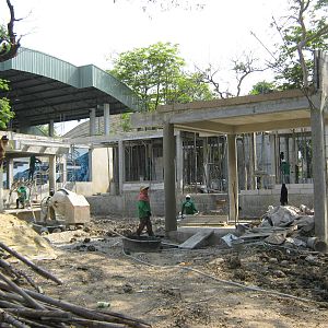 construction for the koala area
