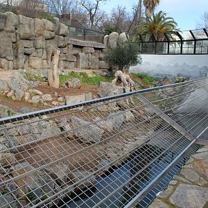 Brown Bear Enclosure - Jan 2014