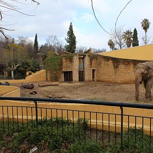 Asian Elephant Enclosure - Jan 2014