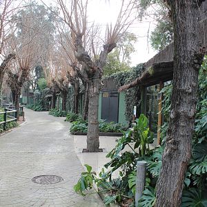 Eurasian Lynx & Primate Enclosures - Jan 2014