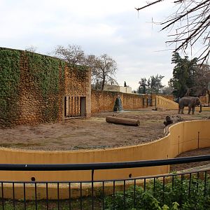 Asian Elephant Enclosures - Jan 2014